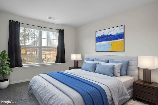 35031 Dundee St Unit 6, Frankford, DE 19945 - bedroom featuring carpet floors and baseboards