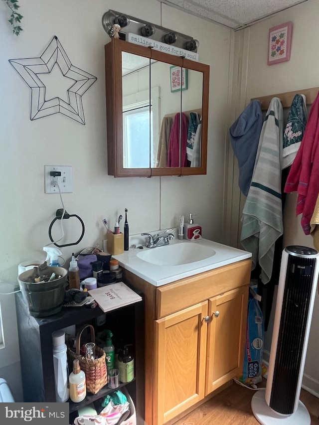 619-621 Riverside Dr, Lewistown, PA 17044 - bathroom with vanity and wood finished floors