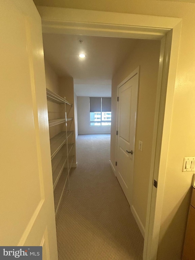 820 N Pollard St Unit 413, Arlington, VA 22203 - corridor featuring carpet floors