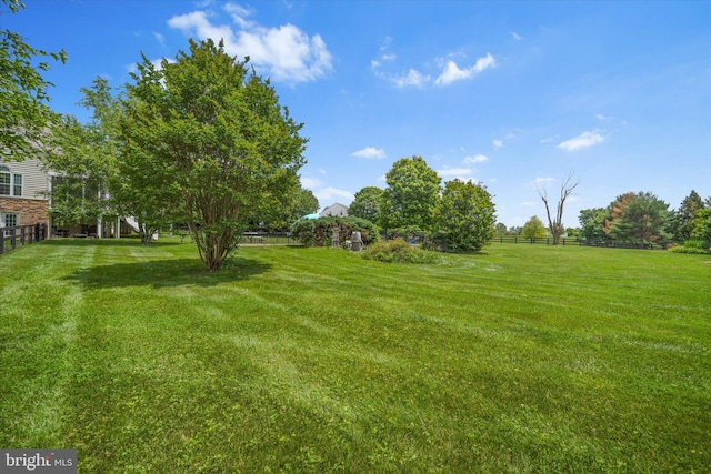 17760 Julie Ann Ct, Hamilton, VA 20158 - view of yard