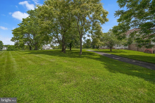 17760 Julie Ann Ct, Hamilton, VA 20158 - view of grassy yard