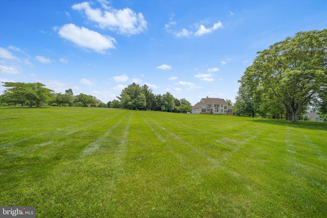 17760 Julie Ann Ct, Hamilton, VA 20158 - view of grassy yard