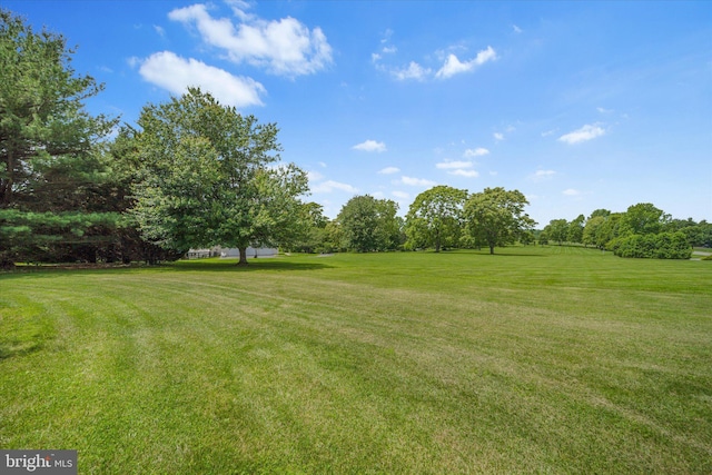 17760 Julie Ann Ct, Hamilton, VA 20158 - view of grassy yard with view of scattered trees