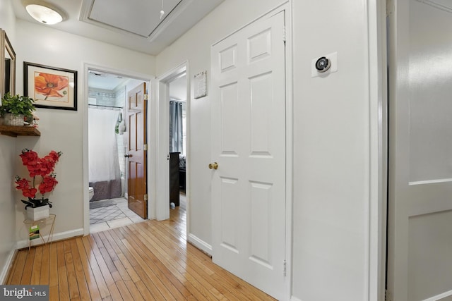 6836 Standish Dr, Hyattsville, MD 20784 - corridor featuring light wood-style floors and baseboards