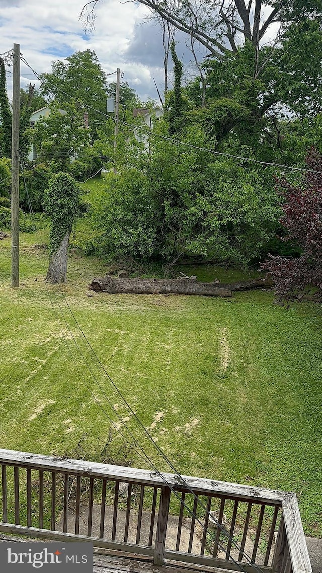 3707 Howard Park Ave, Baltimore, MD 21207 - view of grassy yard