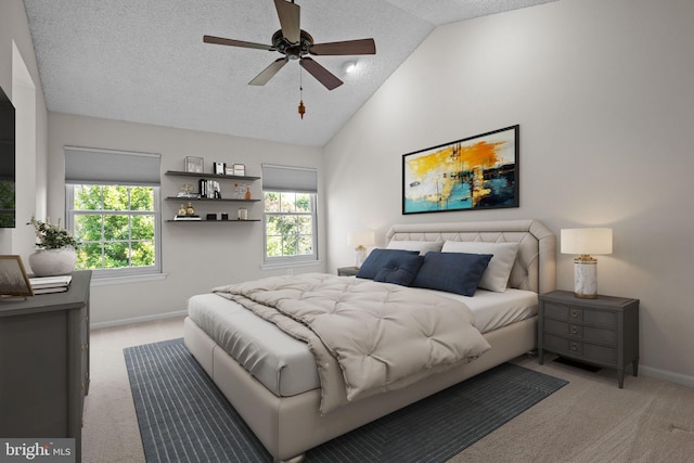 13 Honey Locust Ln, Newtown, PA 18940 - bedroom featuring light colored carpet, baseboards, lofted ceiling, multiple windows, and a textured ceiling