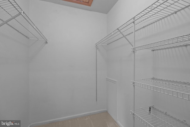 13 Honey Locust Ln, Newtown, PA 18940 - view of walk in closet