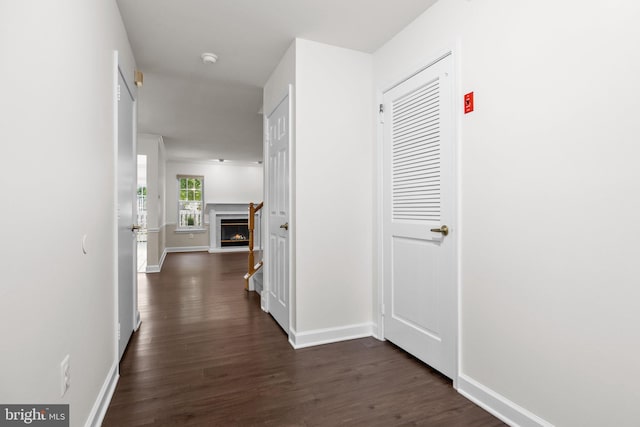 13 Honey Locust Ln, Newtown, PA 18940 - corridor with dark wood finished floors and baseboards