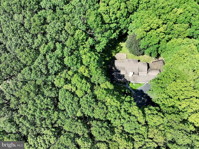 2511 W Norwegian St, Pottsville, PA 17901 - view of property location