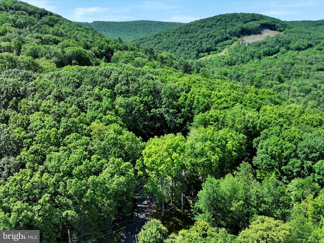 2511 W Norwegian St, Pottsville, PA 17901 - mountain view with a heavily wooded area