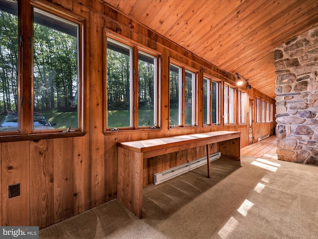 2511 W Norwegian St, Pottsville, PA 17901 - unfurnished sunroom featuring a baseboard radiator, wooden walls, wood ceiling, and carpet floors