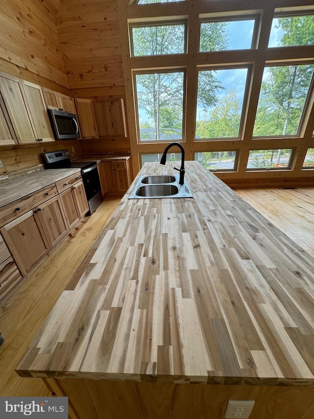 68 Taylor Ln, Mc Henry, MD 21541 - kitchen with a sink, stainless steel appliances, light wood-style floors, and a high ceiling