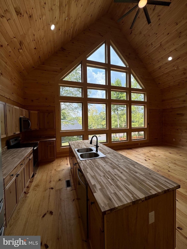68 Taylor Ln, Mc Henry, MD 21541 - kitchen featuring a sink, appliances with stainless steel finishes, light wood-style floors, ceiling fan, and a kitchen island with sink