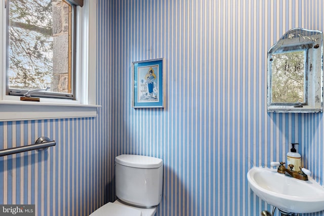 127 Webster Ave, Wyncote, PA 19095 - bathroom with toilet, wallpapered walls, and a sink
