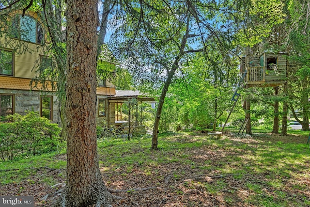 127 Webster Ave, Wyncote, PA 19095 - view of yard