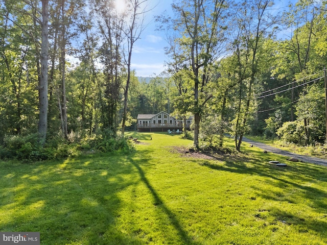 1820 Gooney Manor Loop, Bentonville, VA 22610 - view of grassy yard featuring a view of trees