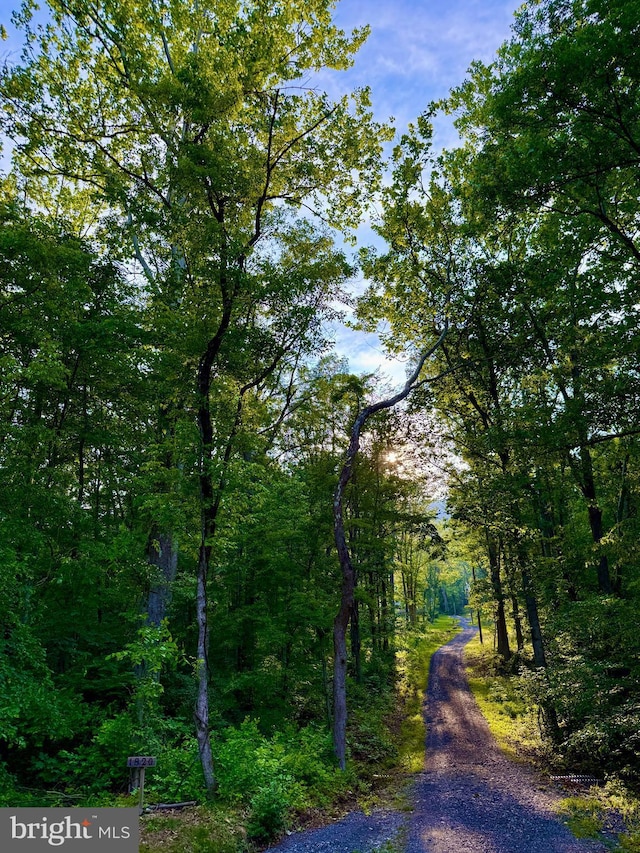 1820 Gooney Manor Loop, Bentonville, VA 22610 - view of street featuring a view of trees