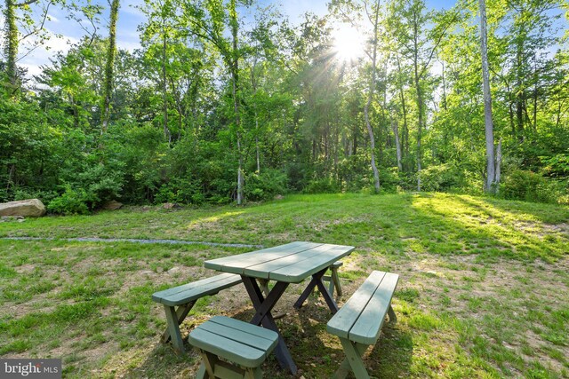 1820 Gooney Manor Loop, Bentonville, VA 22610 - view of yard