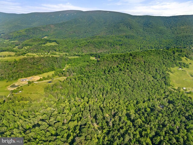 1820 Gooney Manor Loop, Bentonville, VA 22610 - mountain view with a forest