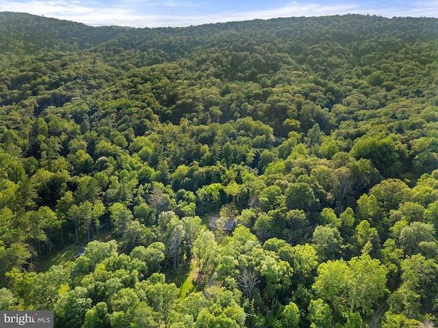 1820 Gooney Manor Loop, Bentonville, VA 22610 - bird's eye view of a heavily wooded area