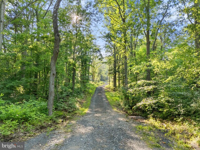 1820 Gooney Manor Loop, Bentonville, VA 22610 - view of road featuring a forest view