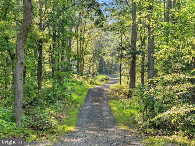 1820 Gooney Manor Loop, Bentonville, VA 22610 - view of road with a wooded view