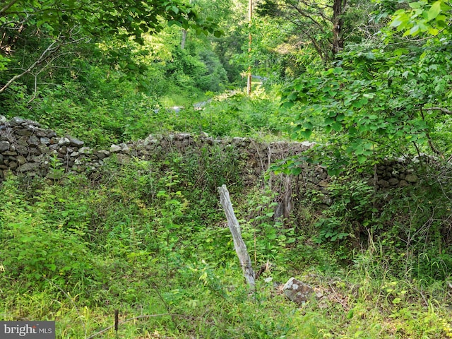 1820 Gooney Manor Loop, Bentonville, VA 22610 - view of tree filled area