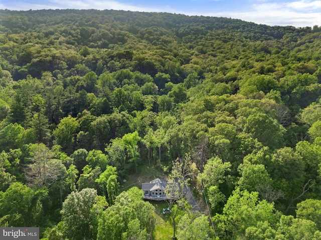 1820 Gooney Manor Loop, Bentonville, VA 22610 - view from above of property with a heavily wooded area
