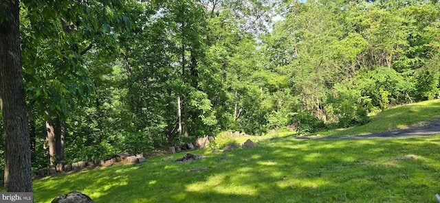 453 Mountain Heights Rd, Front Royal, VA 22630 - view of green lawn with a wooded view