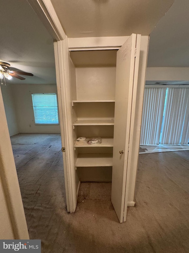 3823 Saint Barnabas Rd Unit 204, Suitland, MD 20746 - view of closet
