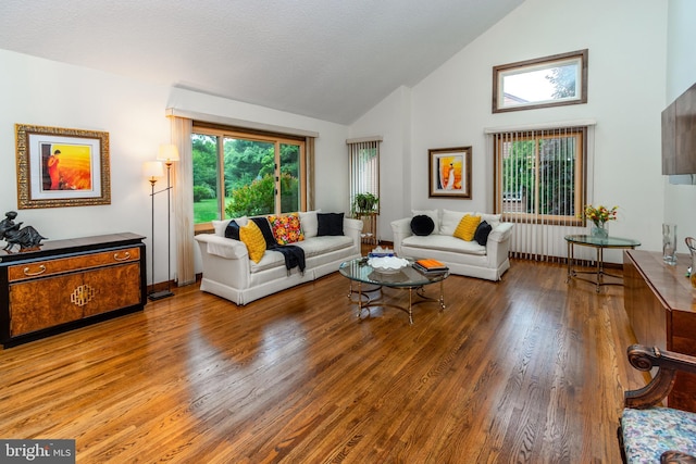 27 Arnold Dr, Princeton Junction, NJ 08550 - living room featuring wood finished floors and high vaulted ceiling