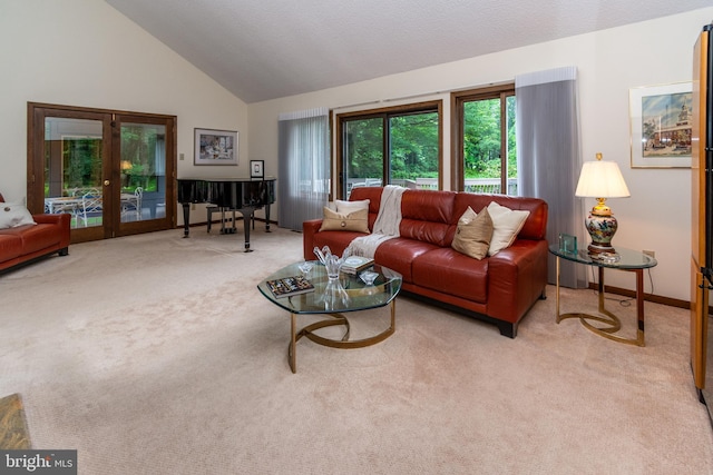 27 Arnold Dr, Princeton Junction, NJ 08550 - living area featuring carpet flooring, french doors, and lofted ceiling