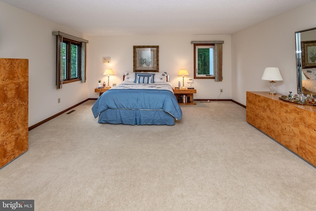 27 Arnold Dr, Princeton Junction, NJ 08550 - carpeted bedroom with baseboards