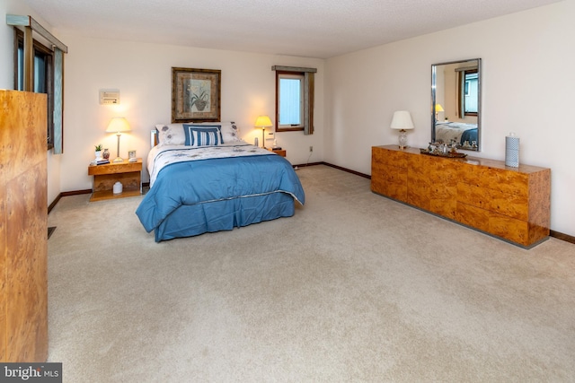 27 Arnold Dr, Princeton Junction, NJ 08550 - carpeted bedroom with baseboards