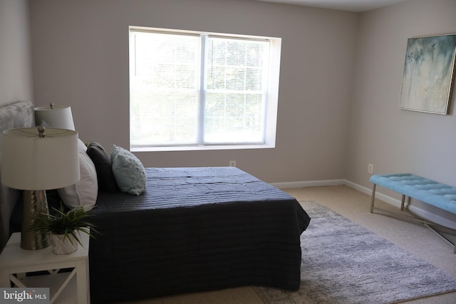 12340 Rosslare Ridge Rd Unit 204, Lutherville Timonium, MD 21093 - bedroom with carpet and baseboards