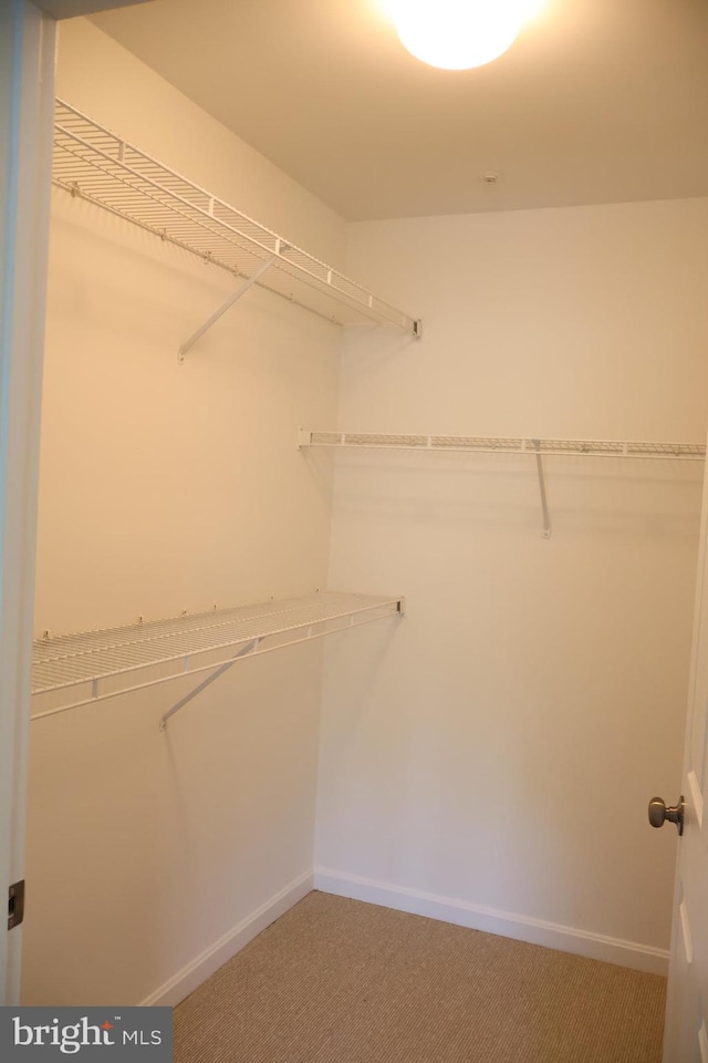 12340 Rosslare Ridge Rd Unit 204, Lutherville Timonium, MD 21093 - spacious closet featuring carpet floors