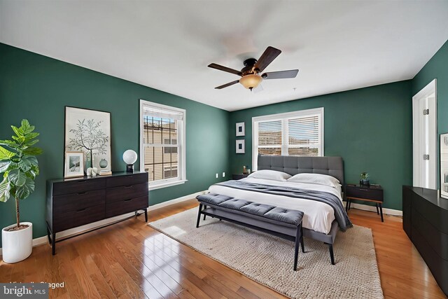 1501 Stack St, Baltimore, MD 21230 - bedroom featuring multiple windows, wood finished floors, and ceiling fan