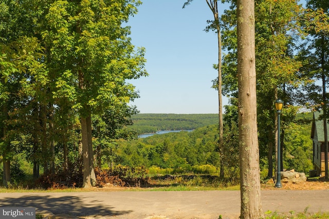 52 Dam View Dr, Oakland, MD 21550 - surrounding community featuring a forest view