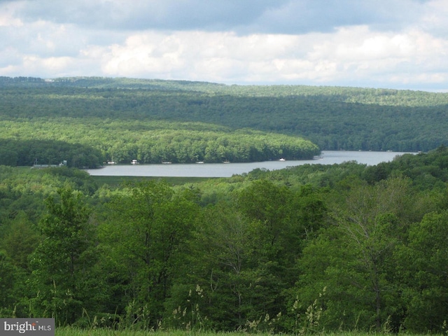 52 Dam View Dr, Oakland, MD 21550 - water view featuring a heavily wooded area