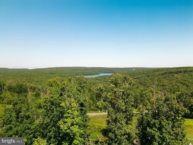 52 Dam View Dr, Oakland, MD 21550 - aerial view of a heavily wooded area