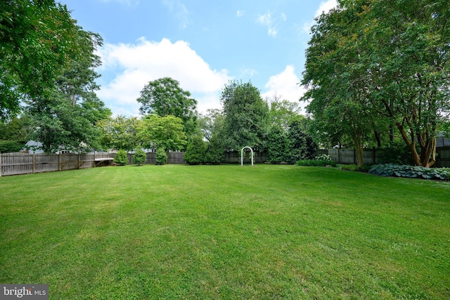 12 Hatsawap Rd, Cambridge, MD 21613 - view of yard