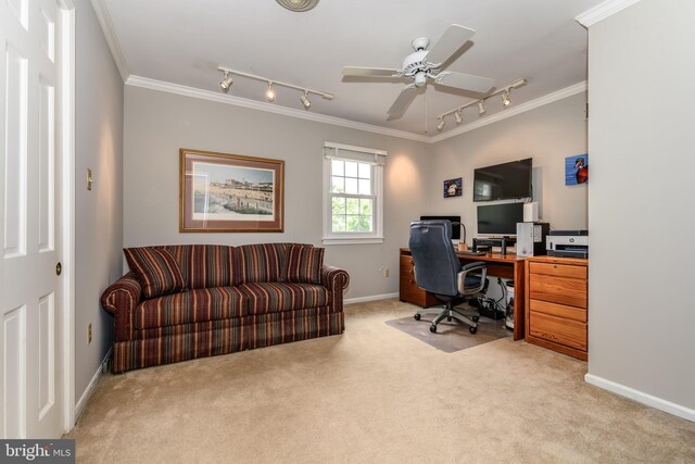 12 Hatsawap Rd, Cambridge, MD 21613 - carpeted home office with rail lighting, ornamental molding, a ceiling fan, and baseboards