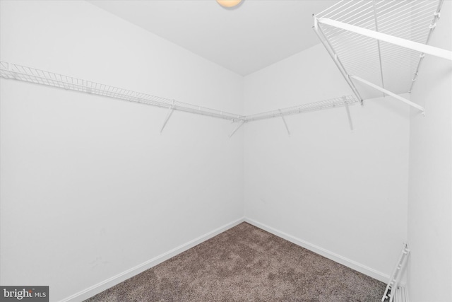 605 Red Timber Ln, Smyrna, DE 19977 - spacious closet featuring carpet