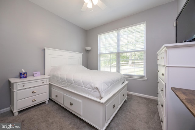 2200 Summerdale Ln, Linfield, PA 19468 - bedroom with carpet floors, baseboards, and a ceiling fan