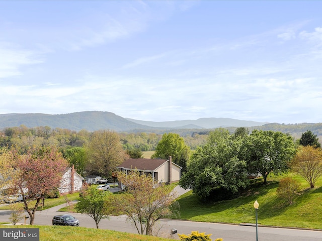 1204 S Fork Dr, Front Royal, VA 22630 - view of mountain background