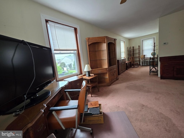 120 S Morwood Ave, Reading, PA 19609 - office space featuring plenty of natural light and carpet floors