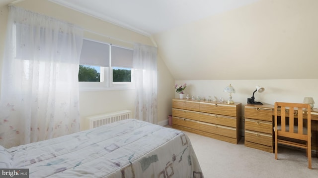 126 Heartwood Rd, Levittown, PA 19056 - bedroom featuring vaulted ceiling, radiator, and carpet