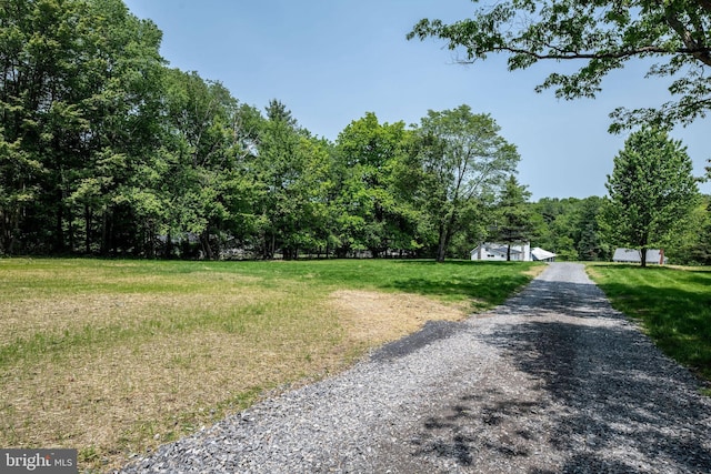 223 One Mile Run Rd, Philipsburg, PA 16866 - view of dirt / gravel driveway featuring a forest view