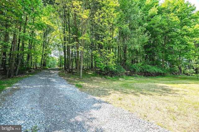 223 One Mile Run Rd, Philipsburg, PA 16866 - view of street featuring a view of trees
