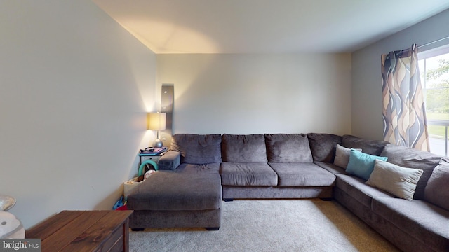 69 Geisinger Ln, Lewistown, PA 17044 - living area featuring carpet floors